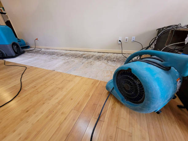 Professional Water Damage Repair technician working in Edgewood, NM